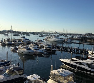 Wharf Newport 