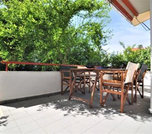 Zennova Naftilos Summer 