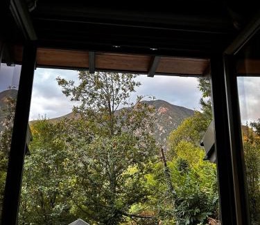 Yıldırım Ski Chalet | Çalıkuşu Dağ Evi