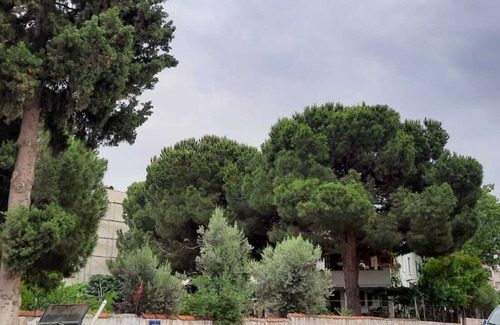 Kusadasi Bed & Breakfast | Çam ağaçları altında, otantik, büyük bahçeli, denize yakın ve yine de merkezi