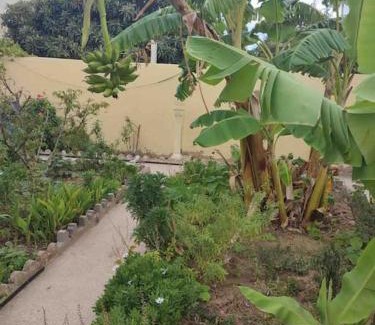 Rafraf House | Étage de villa vue montagne et mer