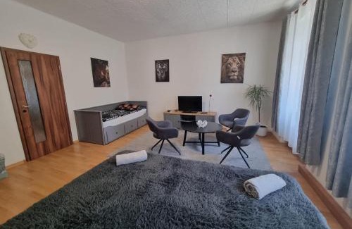 Plzen Apartment | Černý Tulipán - Apartmán 1
