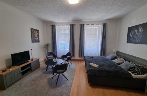 Plzen Apartment | Černý Tulipán - Apartmán 1