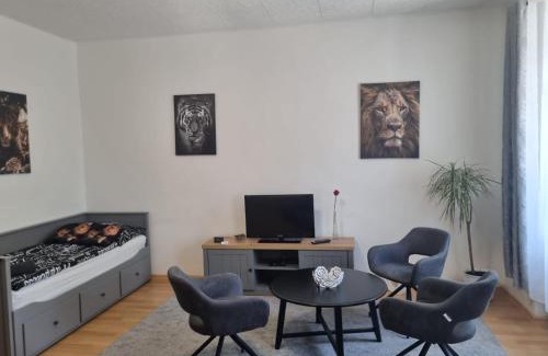 Plzen Apartment | Černý Tulipán - Apartmán 1