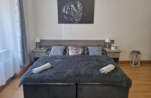 Plzen Apartment | Černý Tulipán - Apartmán 1