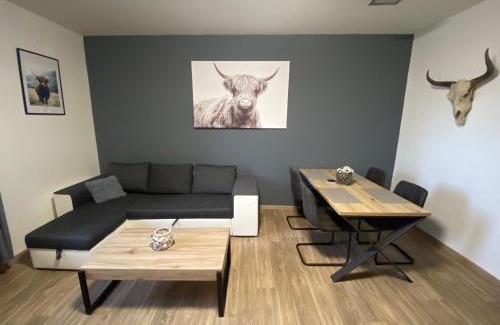 Plzen Apartment | Černý Tulipán - Apartmán 3