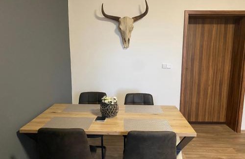 Plzen Apartment | Černý Tulipán - Apartmán 3