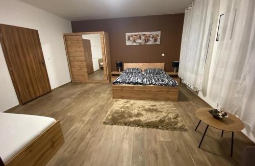 Plzen Apartment | Černý Tulipán - Apartmán 3