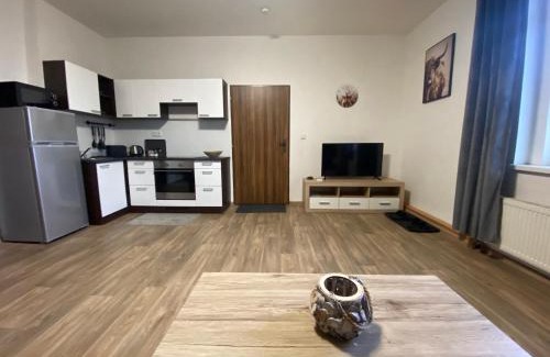Plzen Apartment | Černý Tulipán - Apartmán 3