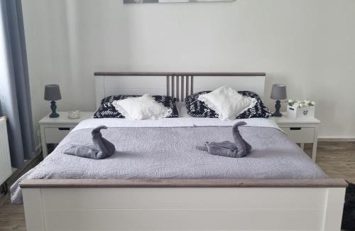 Plzen Apartment | Černý Tulipán - Apartmán 4