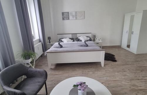 Plzen Apartment | Černý Tulipán - Apartmán 4