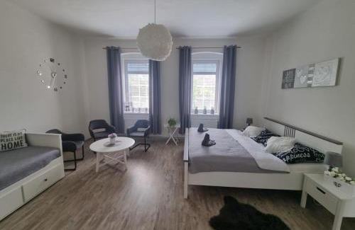 Plzen Apartment | Černý Tulipán - Apartmán 4