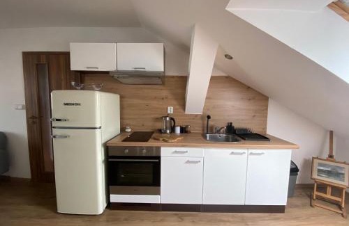 Plzen Apartment | Černý Tulipán - apartmán 6