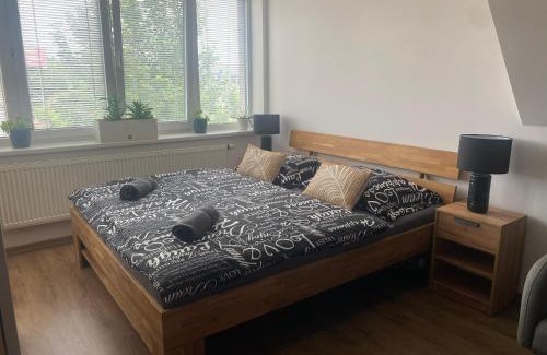 Plzen Apartment | Černý Tulipán - apartmán 6