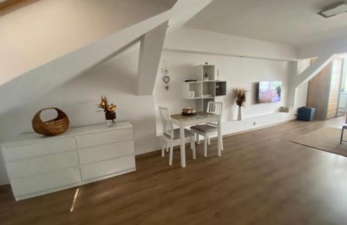 Plzen Apartment | Černý Tulipán - apartmán 6