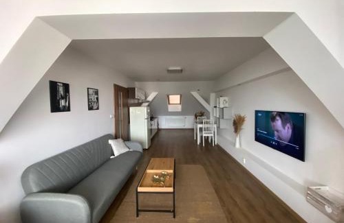 Plzen Apartment | Černý Tulipán - apartmán 6