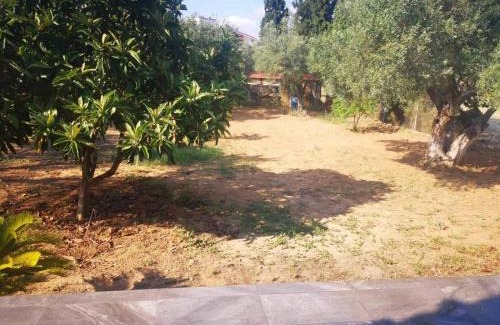 Chalcis Apartment | Χαλκιδα Δροσια μονοκατοικια