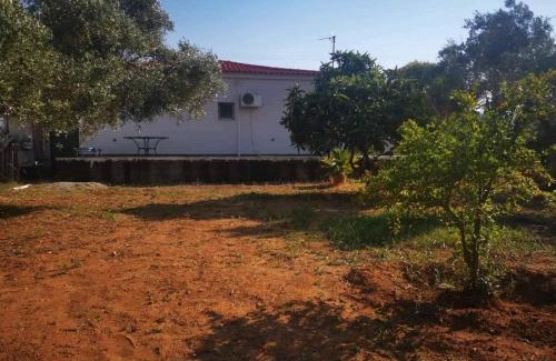 Chalcis Apartment | Χαλκιδα Δροσια μονοκατοικια