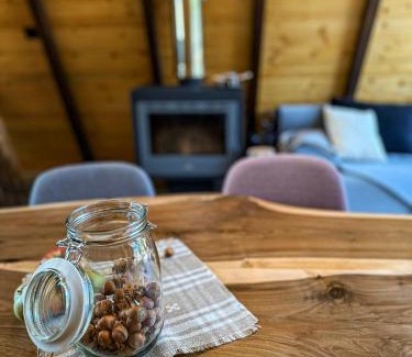 Sapareva Banya Ski Chalet | Алпийска вила в полите Рила