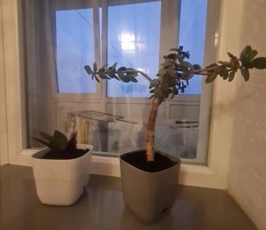 Lutsk Apartment | Апартаменти в Центрі,вул Незалежності, 5