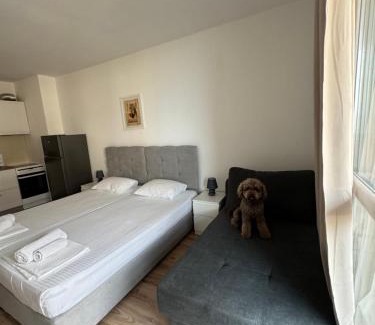 Sarafovo Apartment | Апартаменти за гости "Екатерина" guest apartments "Ekaterina"