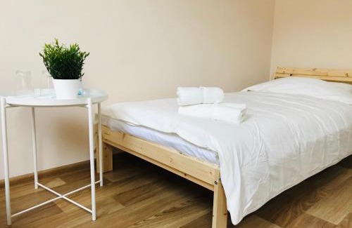 Uzhhorod Apartment | Апартаменти 21