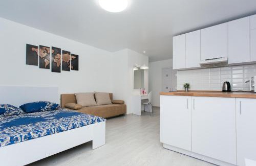 Zarichnyi District Apartment | Апартаменты возле ТЦ Лавина 1 этаж