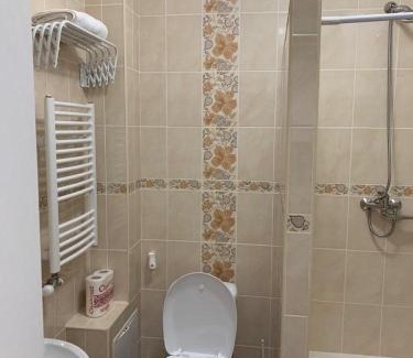 Polyana Apartment | Апартаменты в Varosh Карпаты