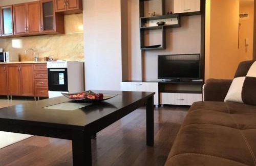 Plovdiv Apartment | Апартамент Боряна