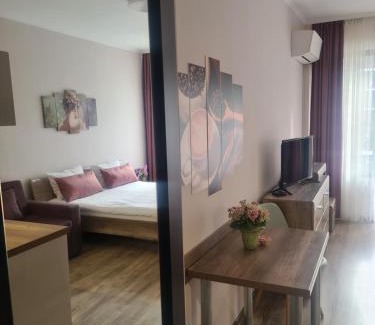 Velingrad Apartment | Апартамент и Студия "Спа Вълшебство"