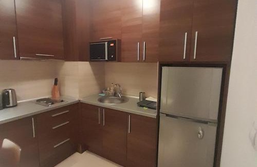 Shiligarnika Apartment | Апартамент Belvedere Е301