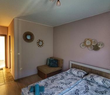 Varna House | Боровата къща