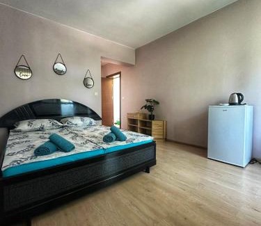 Varna House | Боровата къща
