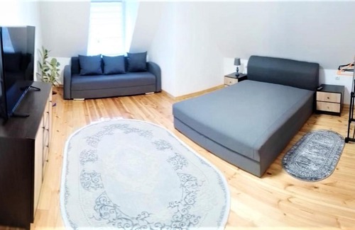 Berehove Apartment | Великі Апартаменти недалеко від Термальних Басейнів