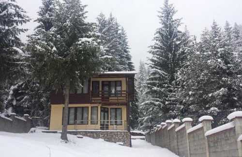 Sarnitsa House | Вила Мерджан