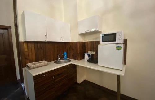 Lviv City Center Apartment | Квартира в центрі на вулиці Лесі Українка 19