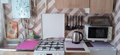 Dnipropetrovsk Oblast Apartment | Квартира 2х-комнатная посуточно