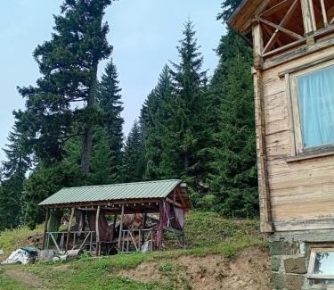 Bakhmaro House | Котдж влесу