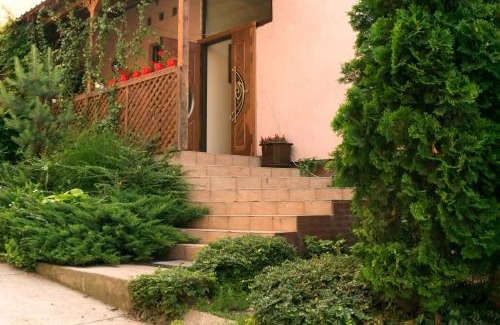 Uzhhorod House | Кімнати в центрі