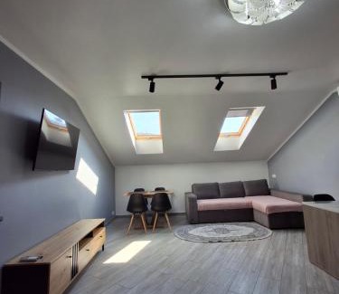 Lviv City Center Apartment | Простора сімейна оселя у серці міста Львів бічна ПЛОЩА РИНОК кухня-студія та спальня 2 кондиціонери