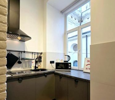 Lviv City Center Apartment | Простора і вишукана квартира в самому серці Львова