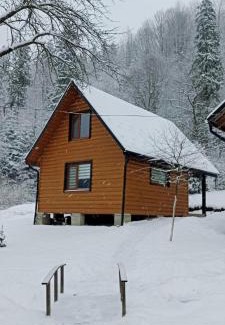Snidavka House | Під горою 2