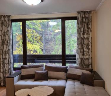 Pamporovo Apartment | Родопски Рай