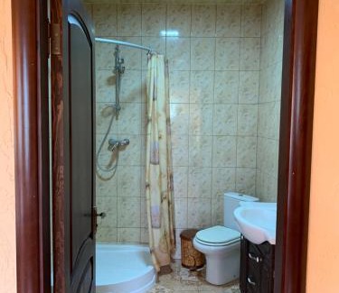 Nyzhnje Selyshche House | Садиба над Рікою