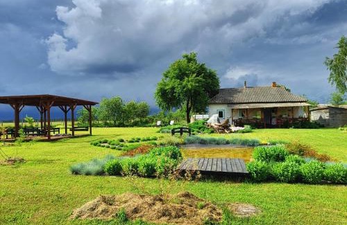 Chernihivs'ka oblast House | Садиба на березі річки Снов