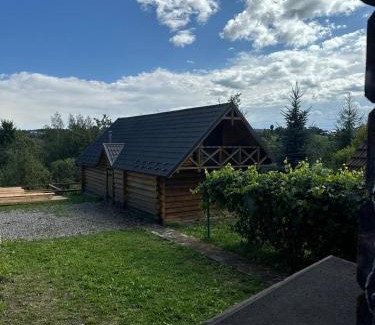 Snidavka House | Садиба Сенчина