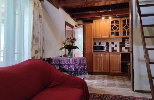 Transcarpathia Apartment | Садиба-студіо Під вишнею