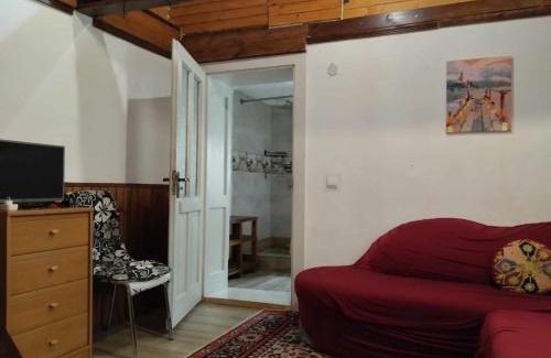 Transcarpathia Apartment | Садиба-студіо Під вишнею
