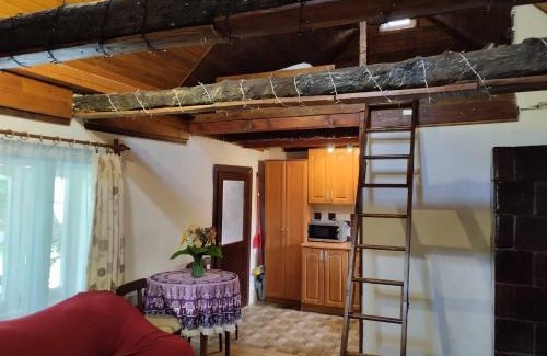 Transcarpathia Apartment | Садиба-студіо Під вишнею