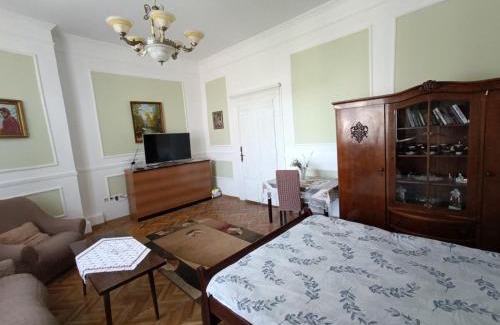 Uzhhorod Apartment | Старовинні апартаменти у центрі міста